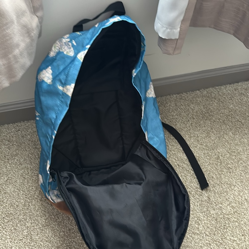 World Traveler Backpack - Picture 3 of 4